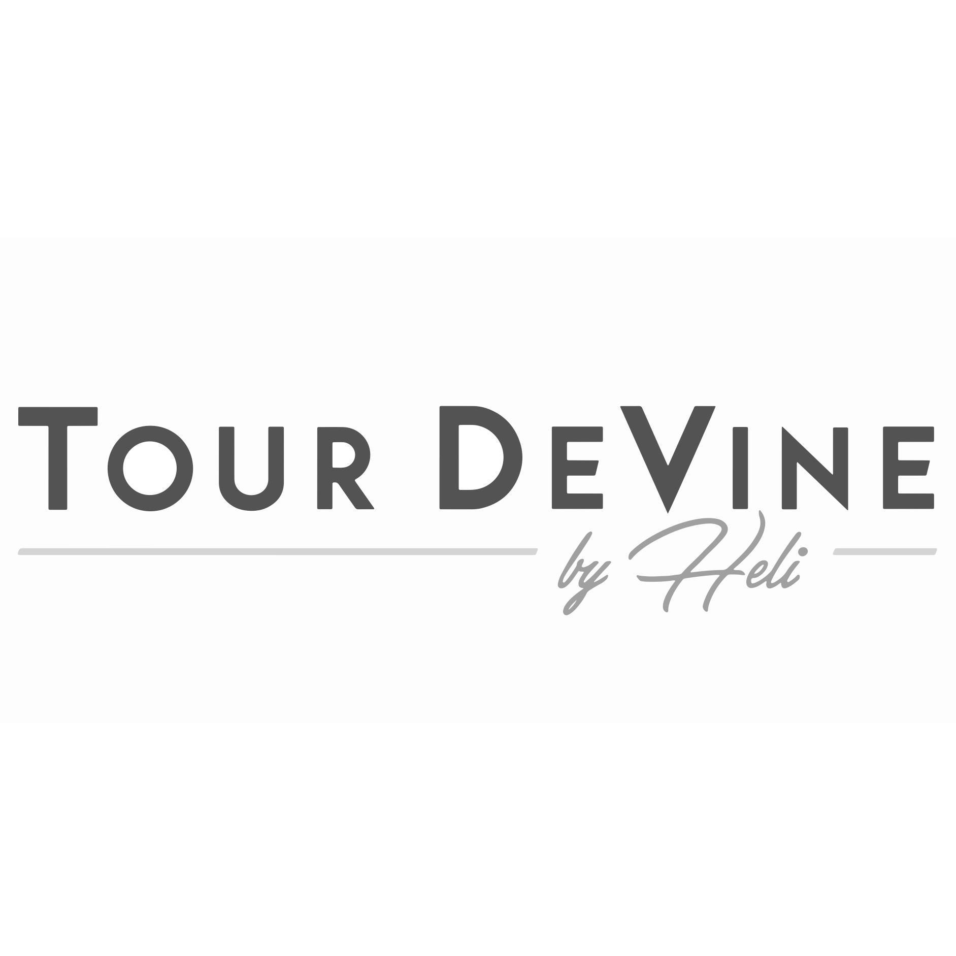 tour devine by heli